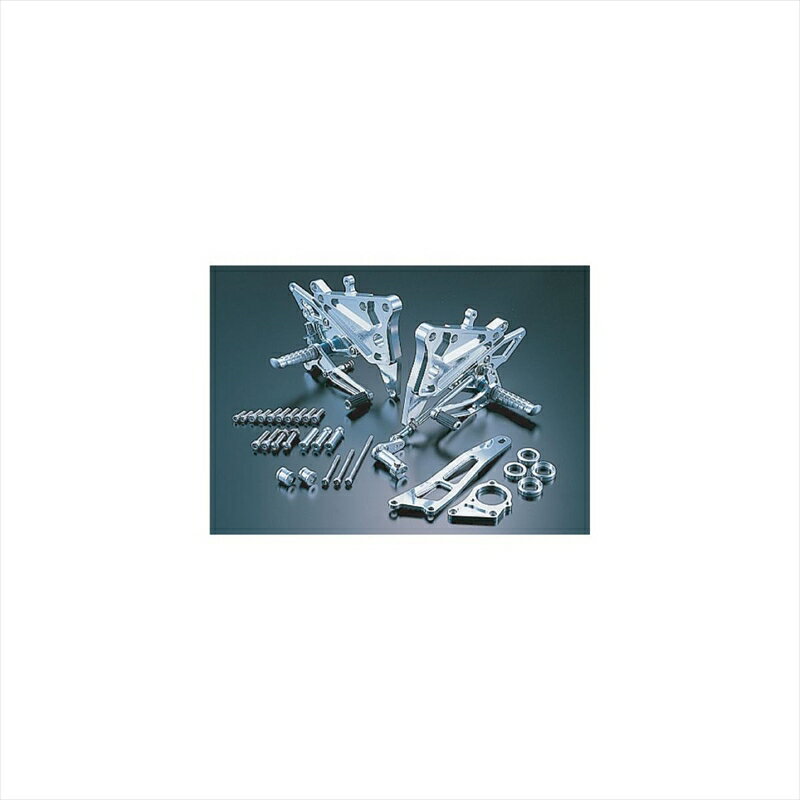 バイクパーツ ステップアグラス バックステップ レリーズ付 3P 312-455-001 4520616455873GPZ900R