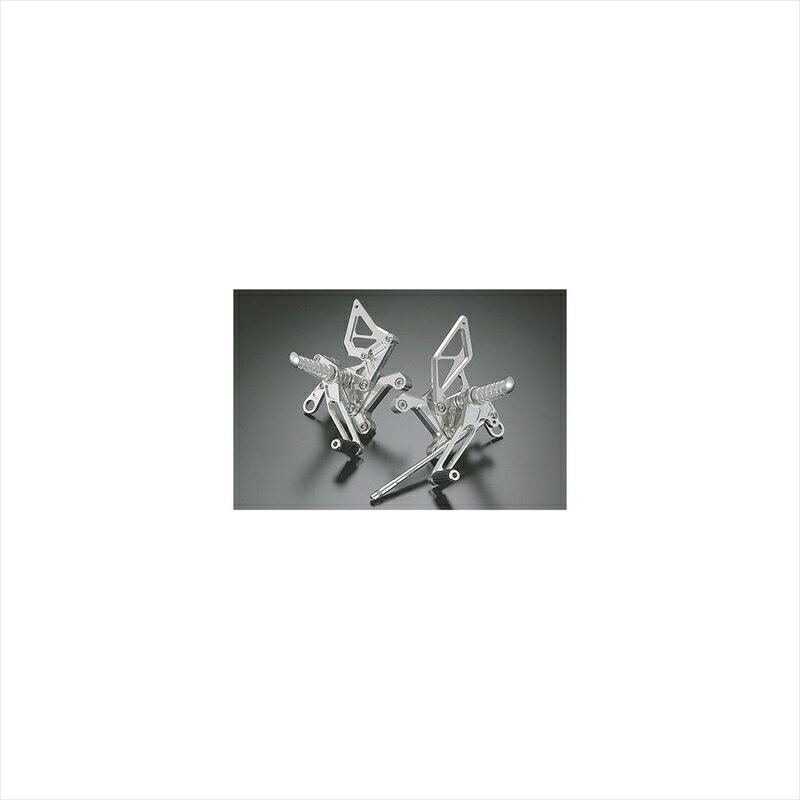 バイクパーツ ステップアグラス バックステップ 4ポジション 312-163-000 4520616774806VTR1000SP-1