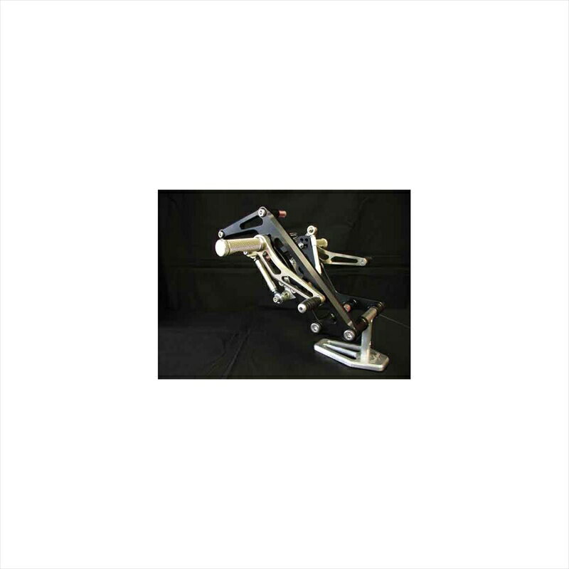 バイクパーツWOODSTOCK(ウッドストック) バックステップキットシャンパンGLD/BLK WBS-Y02-0B4547424436481V-MAX