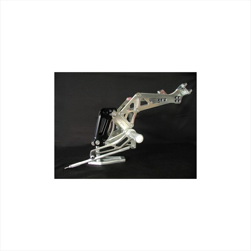 バイクパーツWOODSTOCK(ウッドストック) ステップキット 4POS/タンデムシヨウ WBS-K10-T04547424680648Z1000 03-06