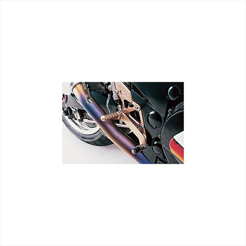 バイクパーツBEET(ビート) ハイパーバンク 固定式 SLV 0111-K29-204582346450726ZZR1100/ZX-11 90-92