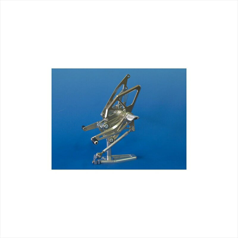 バイクパーツWOODSTOCK(ウッドストック) バックステップキット オールGLD WBS-H07-004547567756293APE100