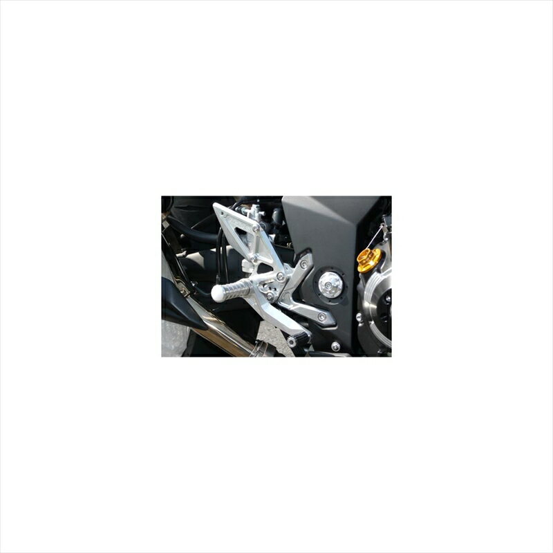 バイクパーツ ステップアグラス バックステップ 4ポジション 312-479-000 4547567849810Z1000 07-09