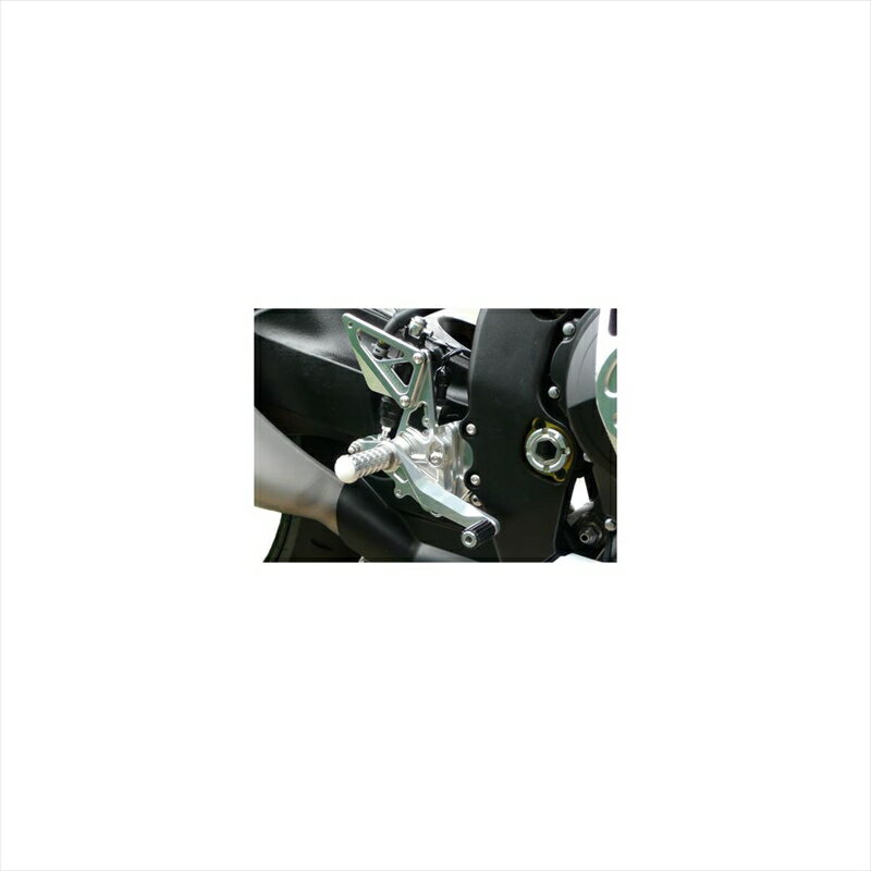 バイクパーツ ステップアグラス バックステップ 8ポジション 312-300-000 4548664860098GSXR1000 09-12 別軸仕様