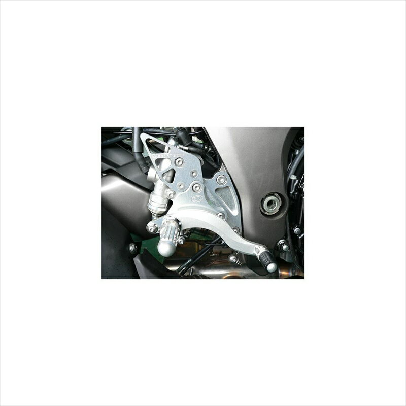バイクパーツBEET(ビート) ハイパーバンク 固定式 SLV 0111-KB1-204582346458876Z1000 10-/Ninja1000 11-