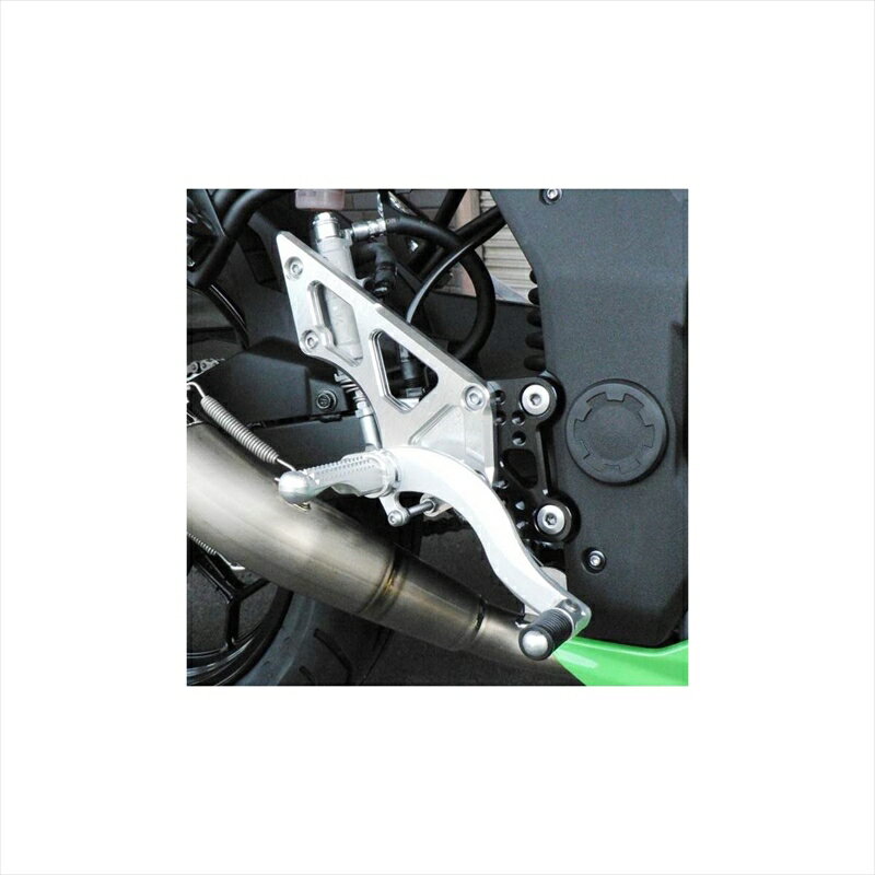 バイクパーツBEET(ビート) ハイパーバンク 固定式 SLV 0111-KD2-204582346462026NINJA250SL