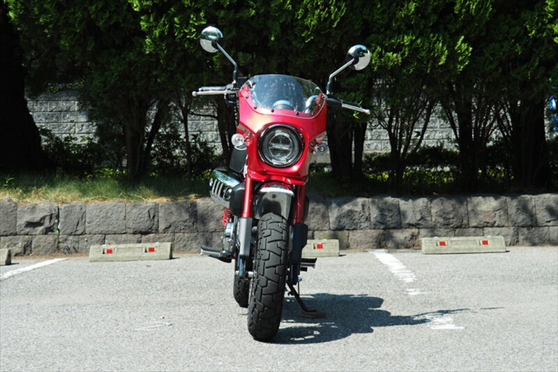 バイク用品 外装 カウルワールドウォーク ビキニカウル タイプRスモーク バナナイエロー モンキー125WorldWalk DS-07r-2 取寄品 セール