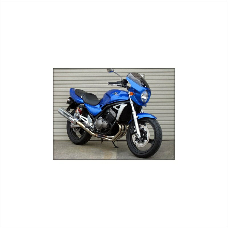 バイクパーツ 外装シックデザイン ロードコメット2 CライトニングBLU/クリアRCB07B-CLBL 4547424013217バリオス2