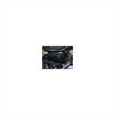 バイクパーツ 外装シックデザイン ティーラ サイドカバー ツヤアリBLK XL-SC2-BK 4548916671229XL1200N 14-