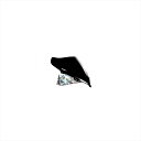 バイクパーツ 外装プーチ スクリーン レーシング ブラック 2207N 4548916134564K1300S 09-13/1200S 05-09