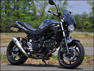 シックデザイン GUYRAシールド クリア ＃S SV650 16- 《シックデザイン GS49BS》