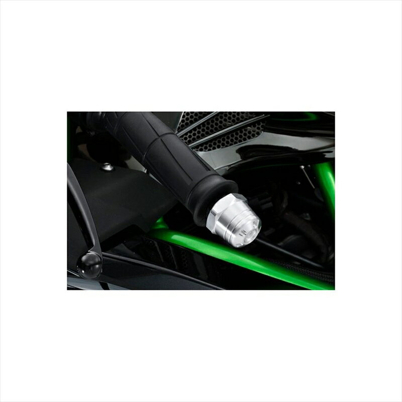 アグラス バーエンド BLK H2 15- ／ZX-10R 16 《アグラス 300-496-000BK》