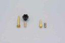バイク用品 吸気系 エンジンDAYTONA デイトナ アイドリングスクリューPEキャブヨウ20mm12547 4909449009666取寄品