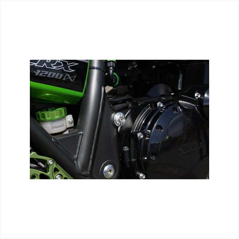 バイクパーツ メンテナンスピーエムシー フレームプラグ シルバー 171-342 4589641236123ZRX1200DAEG