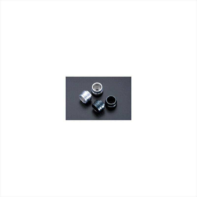 バイクパーツ 外装シフトアップ アクスルスライダー メッキ 210085 4582246488973APE/XR/NSF100