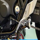 バイク用品 電装系テラモト シフタースイッチ ブラック CB1300SF/SB 21-4133-21SW-R 4580305179664取寄品