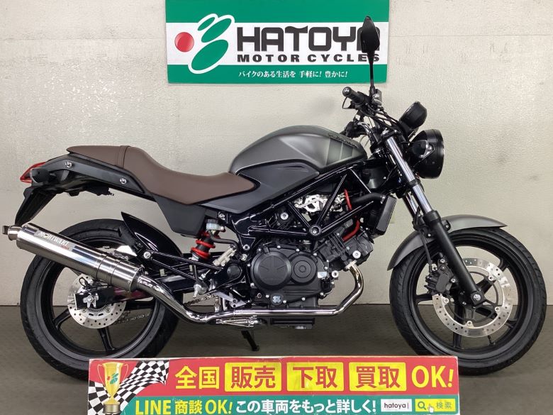 VTR250 z_ HONDA  Sʔ! ő84񕪊OK! ^݌