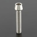 バイク用品 メンテナンスZETA ジータ Z-チタン テーパーキャップスクリュー M5 P0.8 25mmZT08-0525 4547836280122取寄品