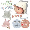 【ポイント10倍 4/29 20:00～5/1 23:59】 ザ ノースフェイス 帽子 ベビー THE NORTH FACE Baby Cappucho Lid カプッチョリッド NNB42320 正規取扱品