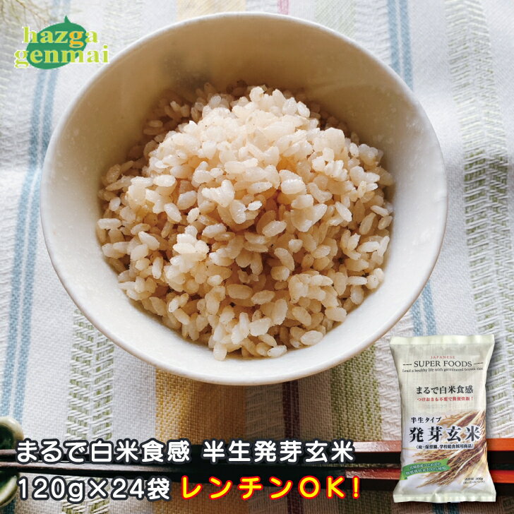 【送料無料】 保育園やこども園、学校給食や高齢者施設と多岐にご使用いただいており、小さなお子様からご年配の方まで安心してお召し上がりいただける、【白米のように軟らかい発芽玄米】 当社独自の『半生』製法で作り上げた、半生という希少な発芽玄米 世に出ている発芽玄米は温風等で乾燥したドライタイプが大半ですが、当社の半生の発芽玄米は、玄米を長時間浸漬させて発芽玄米にした後に高圧釜直蒸しし、60%〜70%程度の炊飯済みの【半炊きした玄米】を冷却だけして袋詰めしています。 ポイント ●無洗米で漬け置き不要 ●白米のように軟らかく、小さなお子様からご年配の方までお召し上がりいただける ●半生なので、ボソボソ感がなく食べやすく、玄米独特の臭気も良好【送料無料】玄米で元気応援店 まるで白米食感半生発芽玄米 無洗米 パック [120g(約1合)×24袋 ] 漬け置き不要 柔らかい 国内産 発芽玄米 パック 無洗米 腸活 個包装 免疫 食物繊維 健康 便秘改善 便秘解消 健康食 栄養食 美肌 半生 簡単 和食 主食 腸内環境改善 軟らかい 離乳食 高齢者食 軟飯 レンチン 保育園・こども園の離乳食、高齢者施設の食事全般や学校給食など、多岐にわたりご使用頂いている半生の発芽玄米。また原料玄米も、特別栽培米の減農薬のもののみを使用しています。天然水を流水かけ流しで漬け置きし発芽玄米にした後、高圧力釜で蒸しあげを行い、その後、無添加・独自のソフト加工で、幅広い方々にお召し上がり頂ける、商品名の通りまるで白米食感の発芽玄米です。無洗米、浸け置き要らず、約1合の新鮮個袋包装になっている為、面倒な計量や水加減調整の手間が無く簡単に炊飯出来ます。更にレンジで10分での炊飯も可能なため、お手軽にお試し頂けます。 12