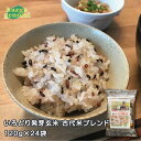 【送料無料】玄米で元気応援店 半生発芽玄米古代米ブレンド [120g(約1合)×24袋 ] 無洗米 パック 漬け置き不要 五穀 古代米 雑穀米 モチモチ