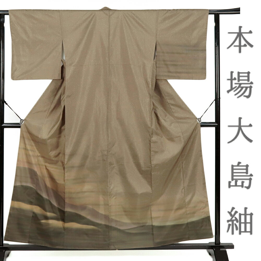 【 中古 】 本場 大島紬 着物 中古 リサイクル 染大島 訪問着 正絹 茶 遠山 蒔糊 仕立て上がり カジュアル身丈163cm 裄68cm M Lサイズ No.3-0457-ss