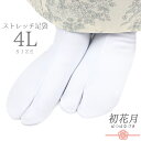 足袋 ストレッチ足袋 梅 たび 五枚こはぜ 4Lサイズ 27cm 27.5cm 28cm 白 ホワイト レディース 男女兼用 ナイロン 綿 ポリエステル 伸びる...