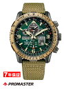 y 2000~N[| zV`Y v}X^[ GRhCu dgv SKYV[Y CITIZEN PROMASTER Eco-Drive SKY JY8074-11X