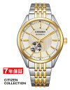 y \i10offN[| zV`Y @Bv I[g}`bN V`YRNV JjJ CITIZEN COLLECTION Eco Drive Yrv NH9114-99P