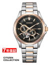 y 2000~N[| zV`Y V`YRNV JjJ I[vn[g CITIZEN COLLECTION Yrv NP1014-77E