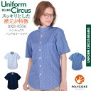 BEAMS ビームス バンドカラーシャツ 半袖 BKB4506 ユニセックス 男女兼用 メンズ レディース ストレッチ 抗菌消臭 介護 ケア 施設 ユニホーム ...