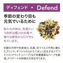 HERB BREWER Defend（ディフェンド） 4袋セット ノンカフェイン 有機ハーブティー ハーブブリューワー オーガニック メディカルハーブティー 2