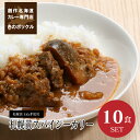 【送料込】札幌黄スパイシーカレー10食セット 辛口 木のポックル 札幌黄＆道産牛肉 化学調味料未使用 冷蔵カレーセット 200gx10個