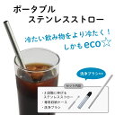 ポータブル ステンレス ストロー 収納ケース 洗浄ブラシ付き マイストロー eco おしゃれ