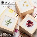 【送料込】選べる3個セット マスソルト バスソルト 入浴剤 ギフト 升 ヒノキ ハーブ バスソルト 大橋量器 岐阜大垣升 プレゼント 引っ越し祝い 結婚祝い ギフトにオススメ