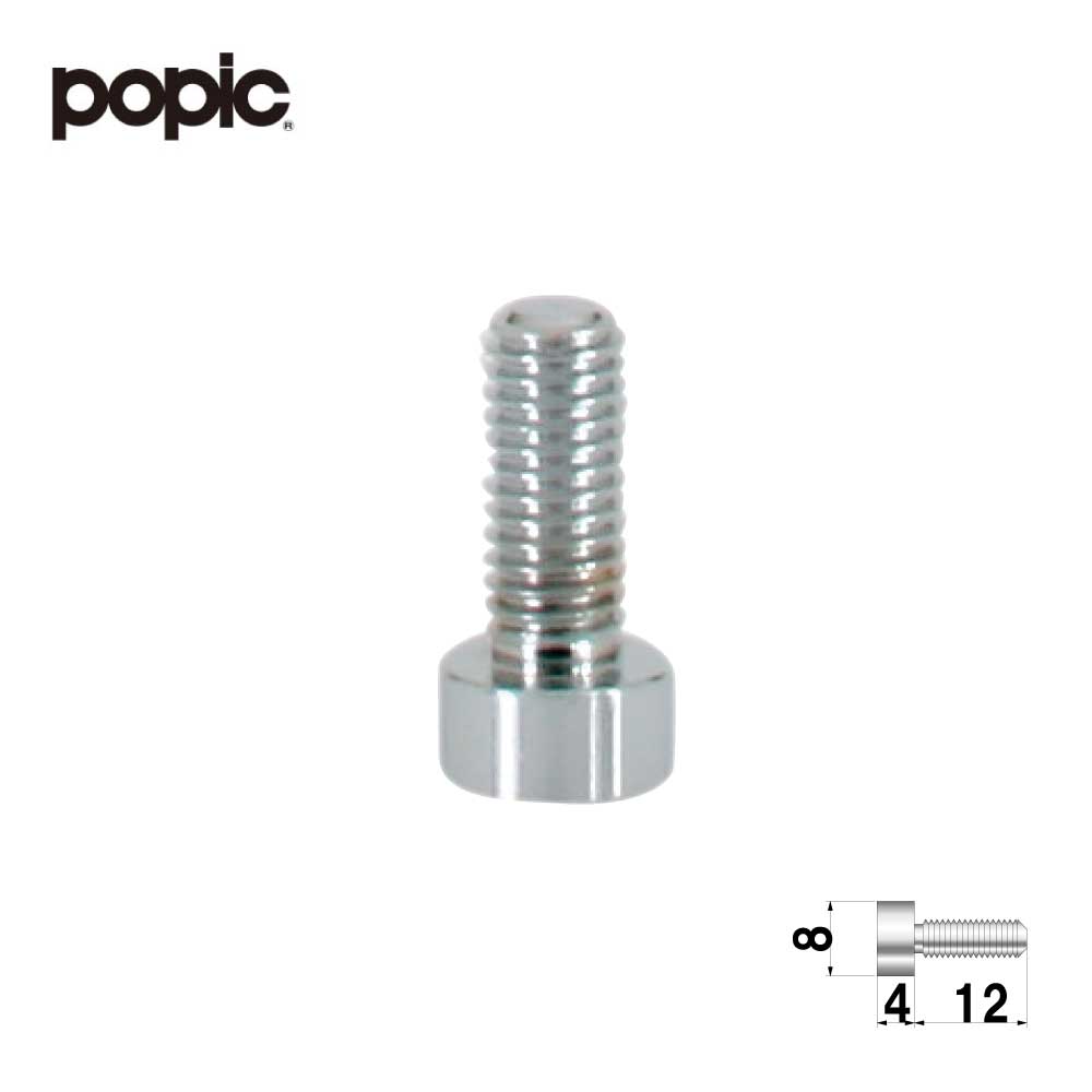 ポピック　かざりビス10本セット　ボルトタイプ(3.0)