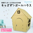 【送料込】ダンボールハウス おままごと 組み立て式 子供も大人も使えます メディア紹介多数 誕生日プレゼントに最適 日本製 punnyほいく正規品