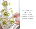 おしゃれなおむつケーキ 送料無料】おむつケーキ ナチュラル リース | 出産祝い 赤ちゃん 出産 ギフト プレゼント お祝い 男の子 女の子 オムツケーキ 花 プリザーブドフラワー ラッピング 結婚祝い 贈り物 おしゃれ かわいい ナチュラル 豪華