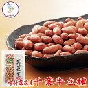 【令和6年産】 味付落花生 千葉半立種(大) 1~10袋(145g/袋) 5袋までメール便配送・ピーナッツ落花生 殻付き ピーナッツ ピーナツ ぴーなっつ らっかせい ラッカセイ ぴーなつ おつまみ 千葉県産 千葉 ちば 国産