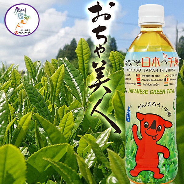 【千葉県産】お茶　ペットボトル 500ml ×1本　『おちゃ美人』 有機栽培　緑茶　JGAP認証 宅配便配送　..