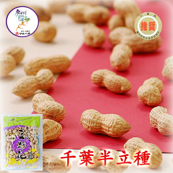 【令和6年産】 さやいり落花生 千葉半立 (中袋 260g) 1~10袋 3〜10袋宅配便選べます 千葉県産 落花生 殻付き ピーナッツ ピーナツ 【送料無料】...