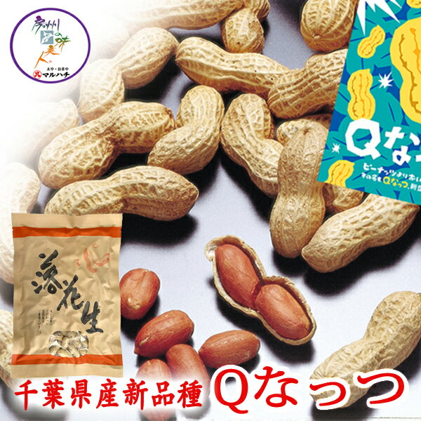 【千葉県産　落花生】令和4年度産　さやいり落花生　Qなっつ　(クラフト袋250g入)　【送料無料】【父の日】【お歳暮】【御歳暮】　2018年に発売された新種　落花生 殻付き ピーナッツ ピーナツ ぴーなっつ ぴーなつ おつまみ　千葉　ちば　国産 ピーナッツ