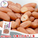 ゆで落花生 千葉のかほり 1～40袋選べるセット 【送料無料】茹で落花生 1000円ポッキリ 殻付き ピーナッツ ぴーなっつ らっかせい ラッカセイ おつまみ 千葉県産 千葉 ちば 国産 【父の日】【お歳暮】【御歳暮】