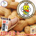 ゆで落花生 おおまさり 1袋(200g)~10袋【4.9円/g(2,000g)】【令和7年産】...
