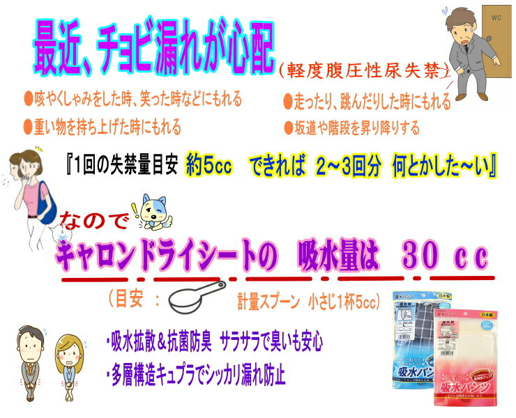 快適サポート　はつらつ倶楽部のキャロン　元気いきいき！婦人用　ウェストレース吸水ショーツ　のびのびタイプLLサイズ日本製【メール便可】｜アングル2