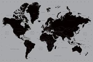 『世界地図/シルバー』ポスター PP-31842 インテリア おしゃれ レトロ フレーム デザイン 壁掛け 模様替え
