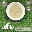 メール便送料無料!chattytail チャッティーテイル ドッグトリーツ 国産鶏丸ごとミンチ 80g×2 CTDT-30【鶏 レトルト ウェット ペースト 犬...
