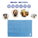 送料無料!メール便!chattytail チャッティーテイル 超絶! 吸水・速乾バスタオル 90cm×130cm CTTW-01【バスタオル すぐ乾く 可愛い ...