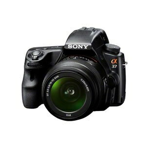 ����š� ���ˡ� �ǥ������㥫��� ��37 �������󥺥��å� SLT-A37K