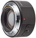 【中古】 パナソニック 2.0× テレコンバーター ルミックス DMW-STC20
